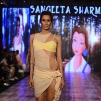 India Beach Fashion Week Day 1 All Shows with Showstoppers Stills | Picture 1321755