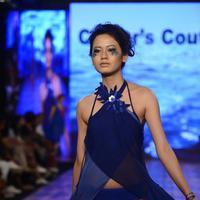 India Beach Fashion Week Day 1 All Shows with Showstoppers Stills | Picture 1321773