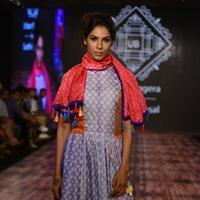 India Beach Fashion Week Day 1 All Shows with Showstoppers Stills | Picture 1321774