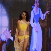 India Beach Fashion Week Day 1 All Shows with Showstoppers Stills | Picture 1321778