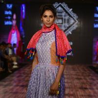 India Beach Fashion Week Day 1 All Shows with Showstoppers Stills | Picture 1321794