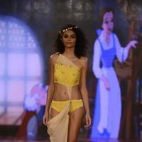 India Beach Fashion Week Day 1 All Shows with Showstoppers Stills | Picture 1321798