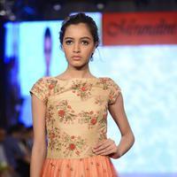 India Beach Fashion Week Day 1 All Shows with Showstoppers Stills | Picture 1321814