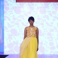 India Beach Fashion Week Day 1 All Shows with Showstoppers Stills | Picture 1321835