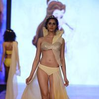 India Beach Fashion Week Day 1 All Shows with Showstoppers Stills | Picture 1321837