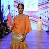 India Beach Fashion Week Day 1 All Shows with Showstoppers Stills | Picture 1321838