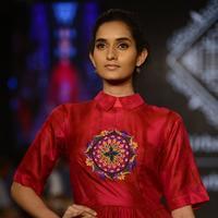 India Beach Fashion Week Day 1 All Shows with Showstoppers Stills | Picture 1321853