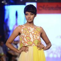 India Beach Fashion Week Day 1 All Shows with Showstoppers Stills | Picture 1321854