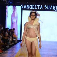 India Beach Fashion Week Day 1 All Shows with Showstoppers Stills | Picture 1321856