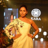 India Beach Fashion Week Day 1 All Shows with Showstoppers Stills | Picture 1321861