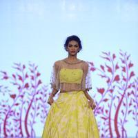 India Beach Fashion Week Day 1 All Shows with Showstoppers Stills | Picture 1321875