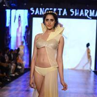 India Beach Fashion Week Day 1 All Shows with Showstoppers Stills | Picture 1321877