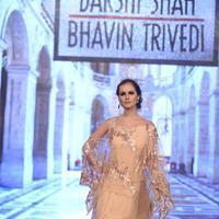 India Beach Fashion Week Day 1 All Shows with Showstoppers Stills | Picture 1321882