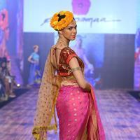 India Beach Fashion Week Day 1 All Shows with Showstoppers Stills | Picture 1321891