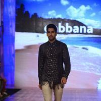 India Beach Fashion Week Day 1 All Shows with Showstoppers Stills | Picture 1321893