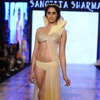 India Beach Fashion Week Day 1 All Shows with Showstoppers Stills | Picture 1321898