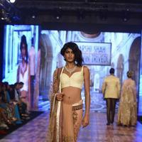 India Beach Fashion Week Day 1 All Shows with Showstoppers Stills | Picture 1321902