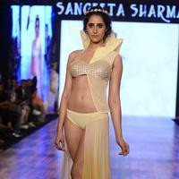 India Beach Fashion Week Day 1 All Shows with Showstoppers Stills | Picture 1321918