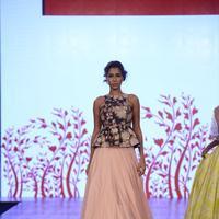 India Beach Fashion Week Day 1 All Shows with Showstoppers Stills | Picture 1321935