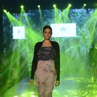 India Beach Fashion Week Day 1 All Shows with Showstoppers Stills | Picture 1321948