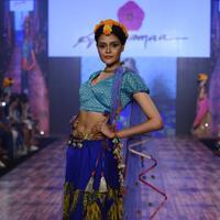 India Beach Fashion Week Day 1 All Shows with Showstoppers Stills | Picture 1321950