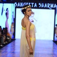 India Beach Fashion Week Day 1 All Shows with Showstoppers Stills | Picture 1321957