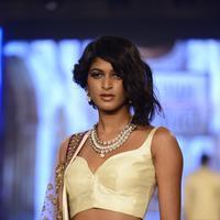 India Beach Fashion Week Day 1 All Shows with Showstoppers Stills | Picture 1321962