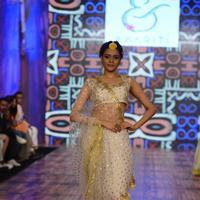 India Beach Fashion Week Day 1 All Shows with Showstoppers Stills | Picture 1321978