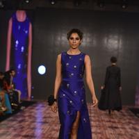 India Beach Fashion Week Day 1 All Shows with Showstoppers Stills | Picture 1321981