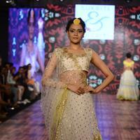 India Beach Fashion Week Day 1 All Shows with Showstoppers Stills | Picture 1321999