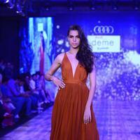 India Beach Fashion Week Day 1 All Shows with Showstoppers Stills | Picture 1322026