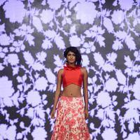 India Beach Fashion Week Day 1 All Shows with Showstoppers Stills | Picture 1322033