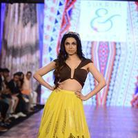 India Beach Fashion Week Day 1 All Shows with Showstoppers Stills | Picture 1322041