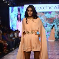 India Beach Fashion Week Day 1 All Shows with Showstoppers Stills | Picture 1322046