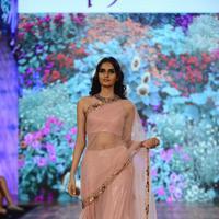 India Beach Fashion Week Day 1 All Shows with Showstoppers Stills | Picture 1322051