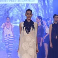 India Beach Fashion Week Day 1 All Shows with Showstoppers Stills | Picture 1322054