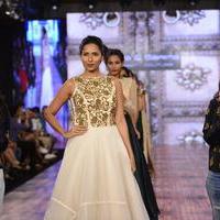 India Beach Fashion Week Day 1 All Shows with Showstoppers Stills | Picture 1322059