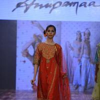 India Beach Fashion Week Day 1 All Shows with Showstoppers Stills | Picture 1322070