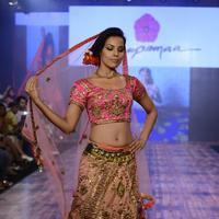 India Beach Fashion Week Day 1 All Shows with Showstoppers Stills | Picture 1322072