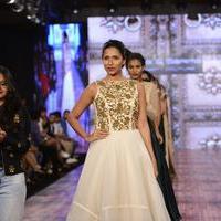 India Beach Fashion Week Day 1 All Shows with Showstoppers Stills | Picture 1322073