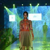 India Beach Fashion Week Day 1 All Shows with Showstoppers Stills | Picture 1322084