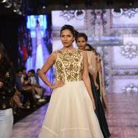 India Beach Fashion Week Day 1 All Shows with Showstoppers Stills | Picture 1322088