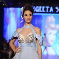 India Beach Fashion Week Day 1 All Shows with Showstoppers Stills | Picture 1322089