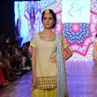 India Beach Fashion Week Day 1 All Shows with Showstoppers Stills | Picture 1322091