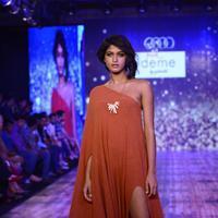 India Beach Fashion Week Day 1 All Shows with Showstoppers Stills | Picture 1322110