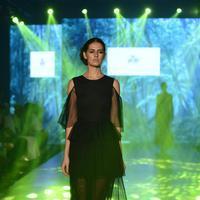 India Beach Fashion Week Day 1 All Shows with Showstoppers Stills | Picture 1322112