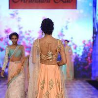 India Beach Fashion Week Day 1 All Shows with Showstoppers Stills | Picture 1322114