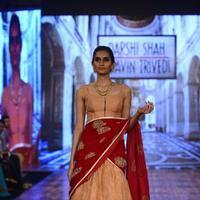 India Beach Fashion Week Day 1 All Shows with Showstoppers Stills | Picture 1322119