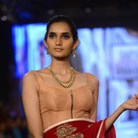 India Beach Fashion Week Day 1 All Shows with Showstoppers Stills | Picture 1322132