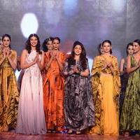 India Beach Fashion Week Day 1 All Shows with Showstoppers Stills | Picture 1322149